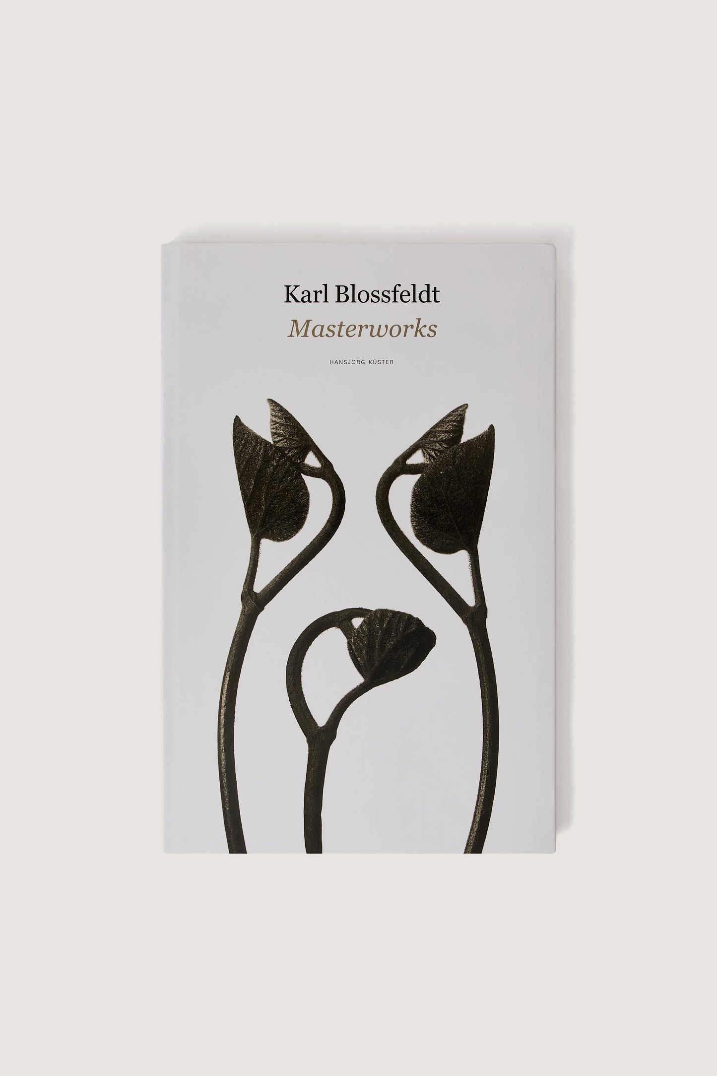 LIVRE "KARL BLOSSFELDT : MASTERWORKS"